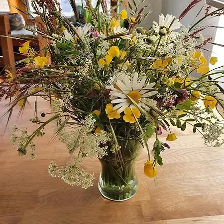 Nyaraló Hoeve Cobelli *