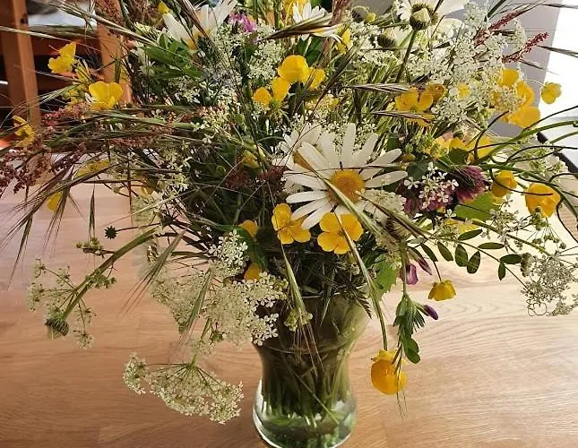 بيت للعطل Hoeve Cobelli *